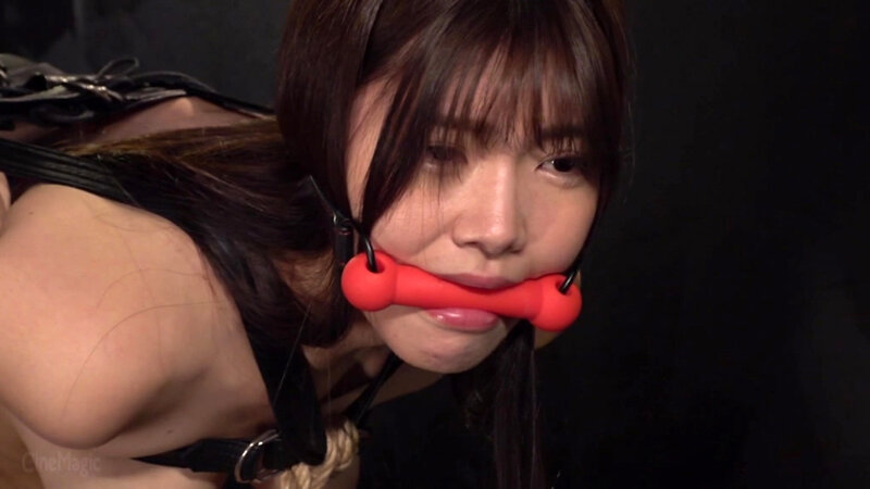 どS傲慢社長令嬢 奈落の美肉奴破壊 美木ひなの サンプル 17