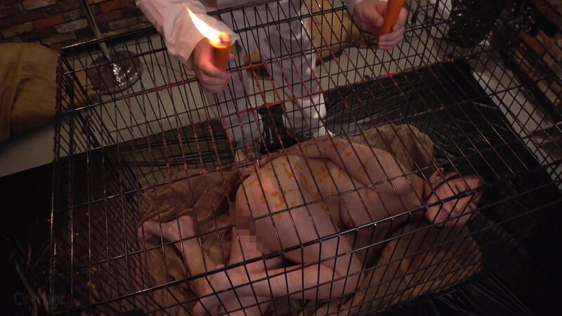 牝檻収監 肛交肉便器マゾ犬狩り ゆうきすず サンプル 2