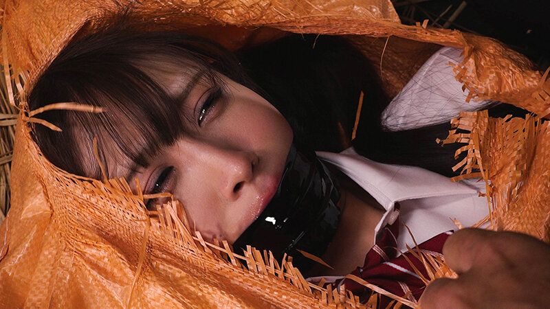 〆豚小屋 女体家畜PLANT 天音かんな サンプル 3