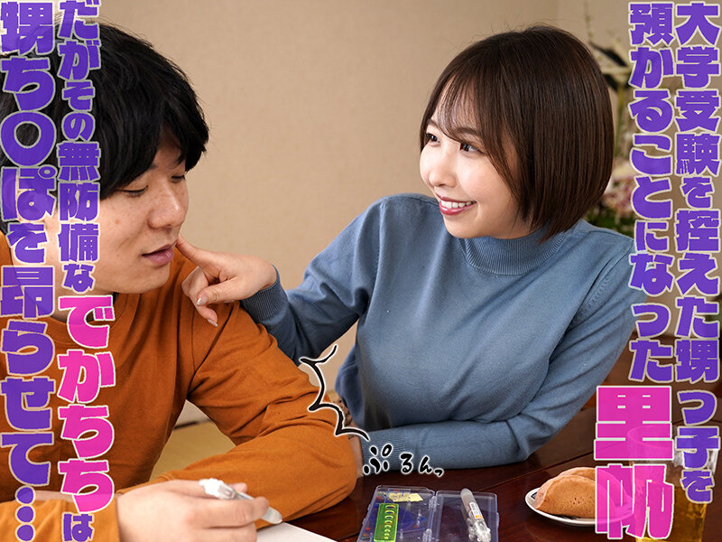 憧れの爆乳叔母の着衣おっぱい探検～卑猥に膨らんだセーターの内側に顔を埋め続けた記憶～ 宍戸里帆 サンプル 1