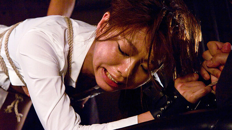 四つん這いにされて 奥の奥まで責められて 発狂しながらイク女 屈辱の後背晒しイキ 激アツ総集編 SUPERLATIVE ECSTASY FILE サンプル 4