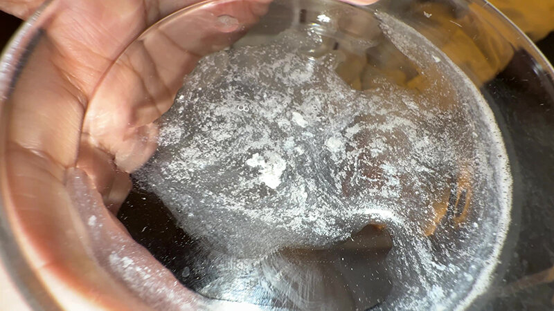【個人撮影】渡来ふうの舌ブラシで「汚舌苔」採取 サンプル 19