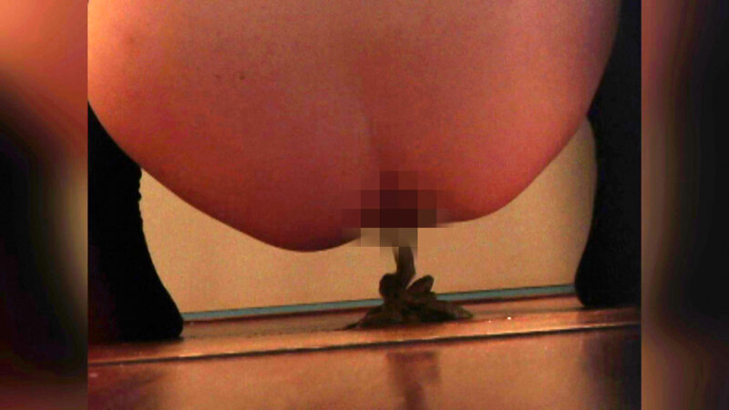 激撮！我慢できずに脱糞しちゃう女たち サンプル 8