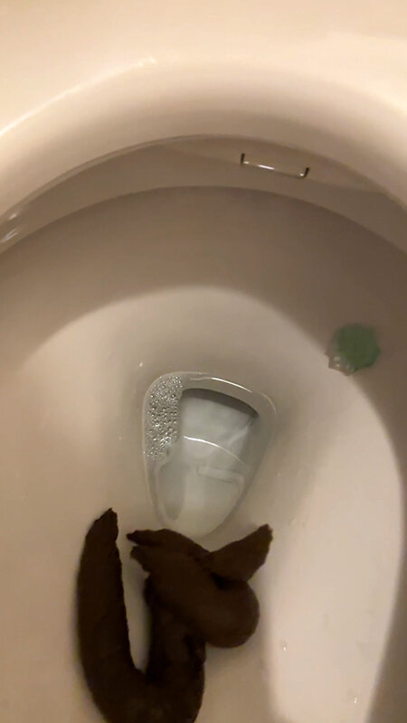 排泄の宴 三浦はな サンプル 10
