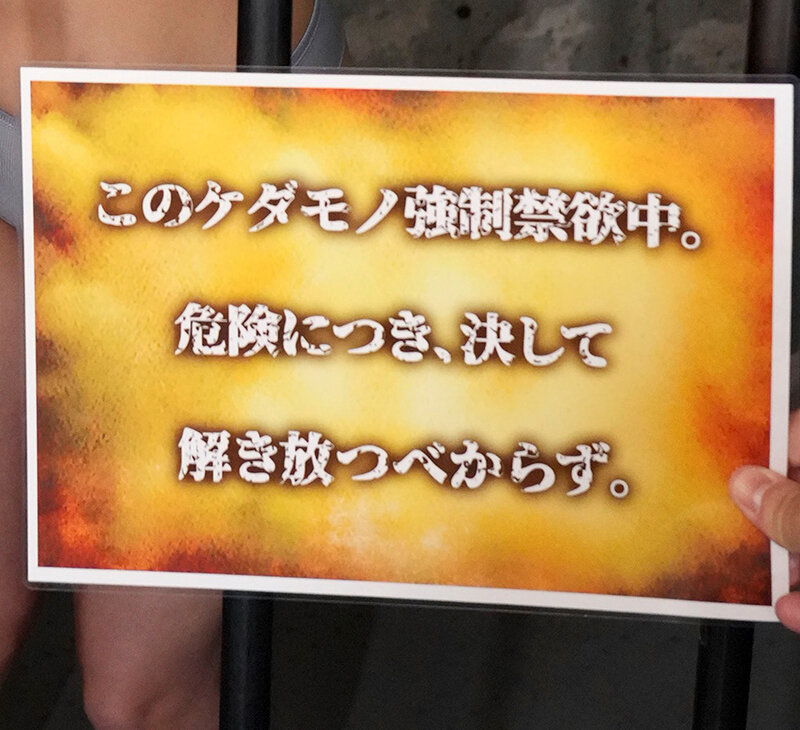 【VR】このケダモノ強●禁欲中。危険につき、決して解き放つべからず。 男の体液全てを貪る異常性犯罪者 Yさん サンプル 18
