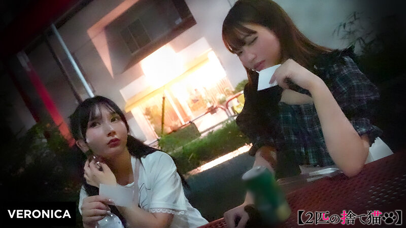 K.T.＆Y.K. サンプル 2