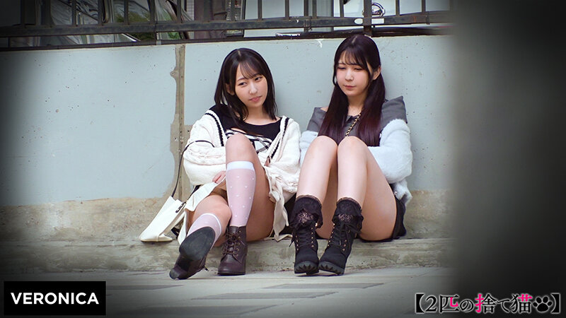 S.Y.＆M.S. サンプル 1