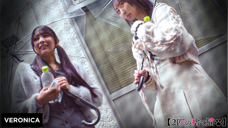S.Y.＆M.S. サンプル 2
