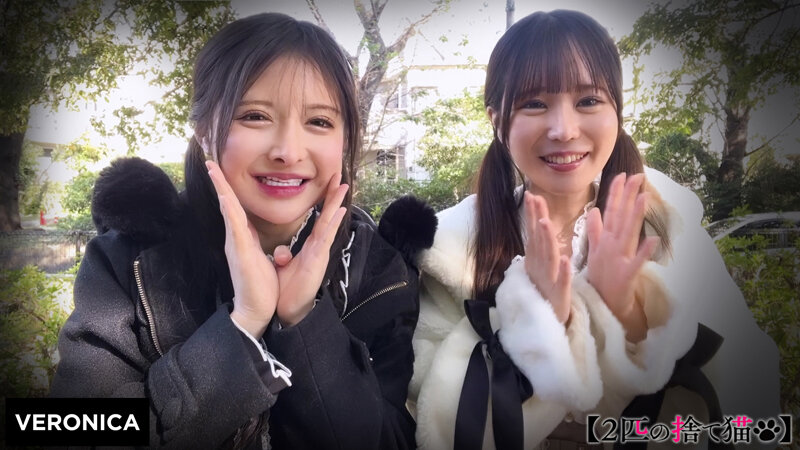 H.I.＆G.N. サンプル 1