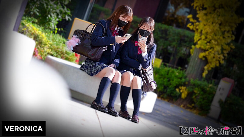 A.S.＆K.M. サンプル 1