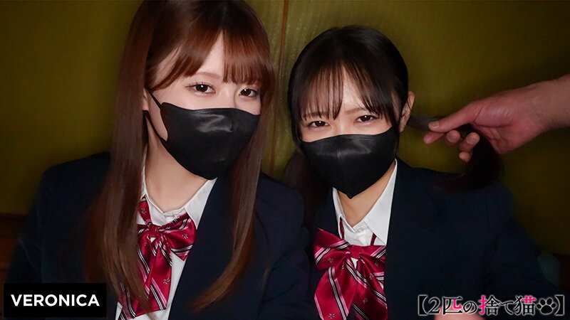 A.S.＆K.M. サンプル 2