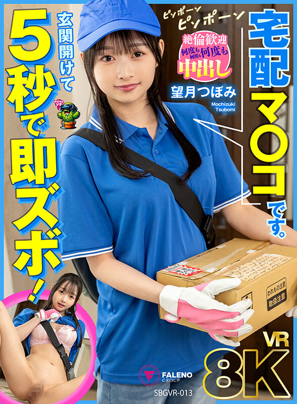 【VR】【8K】玄関開けて5秒で即ズボ！宅配マ〇コです。 望月つぼみ サンプル 1