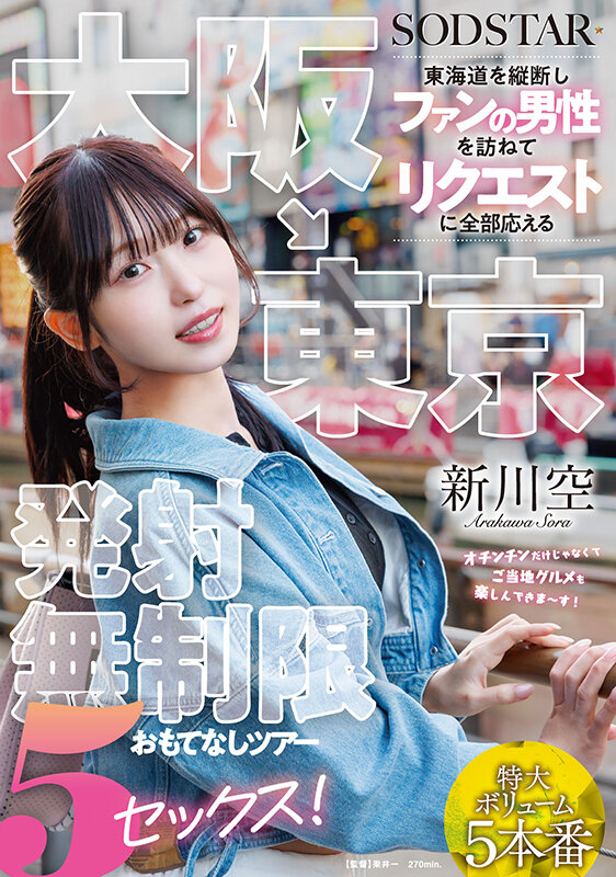 大阪→東京 東海道を縦断しファンの男性を訪ねてリクエストに全部応える発射無制限おもてなしツアー 5セックス！ 新川空 サンプル 1
